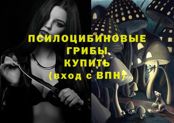 jwh Алзамай