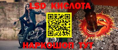 mdpv Гатчина