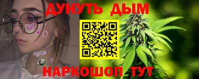 mdpv Гатчина