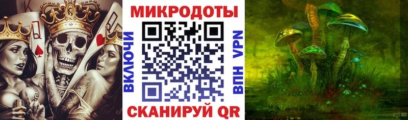 дарнет шоп  Нововоронеж  Псилоцибиновые грибы Cubensis 