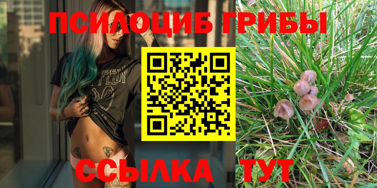 Галлюциногенные грибы Psilocybine cubensis  Вход с VPN  Нововоронеж 