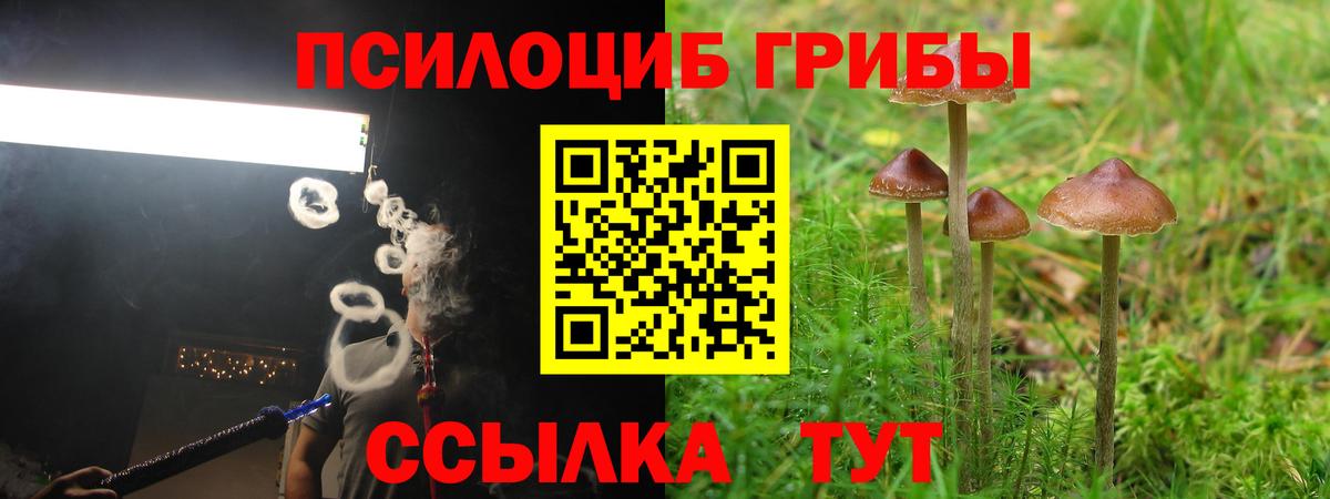 Галлюциногенные грибы Cubensis Нововоронеж